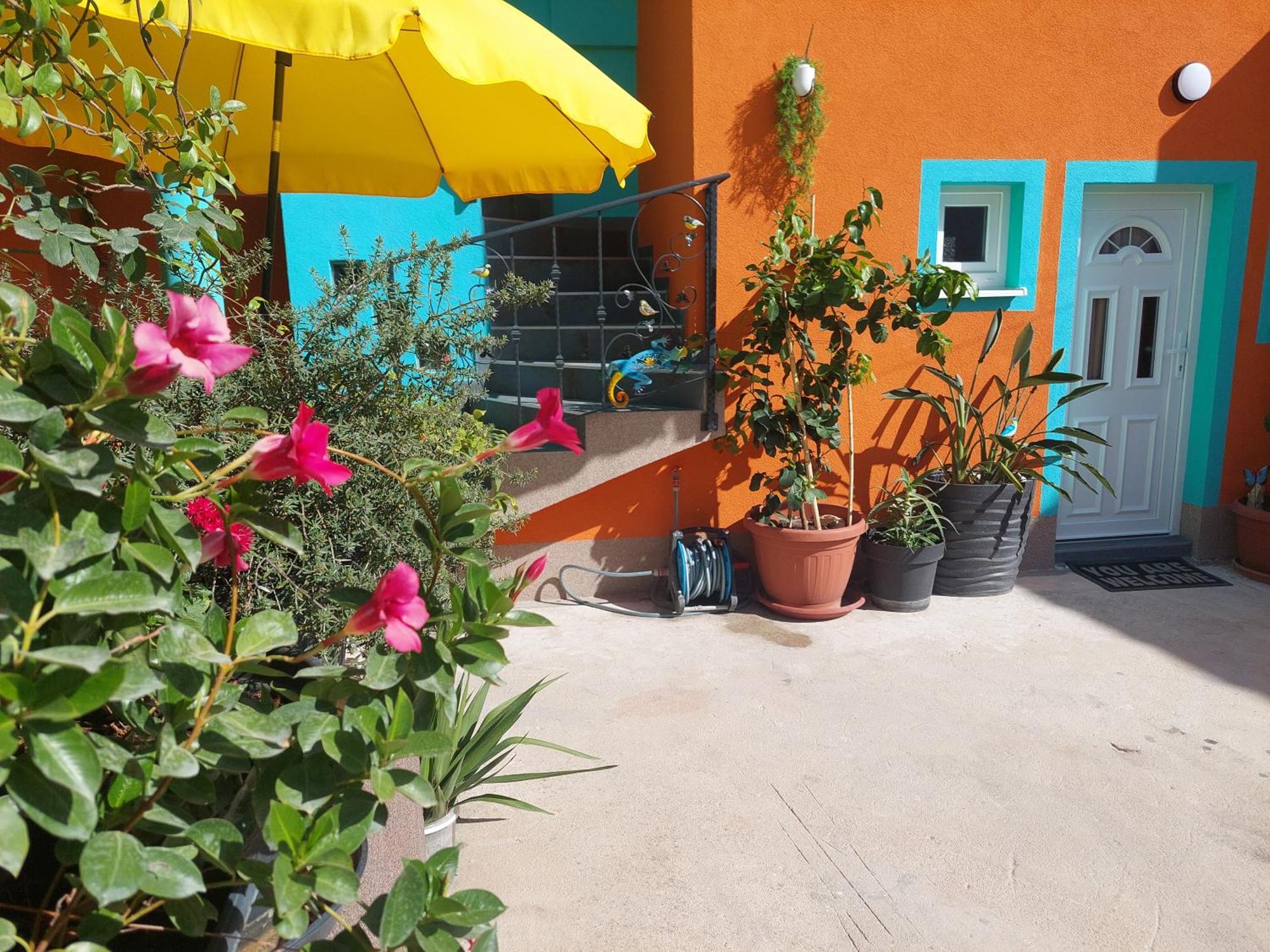 Apartment Mexicana Blue