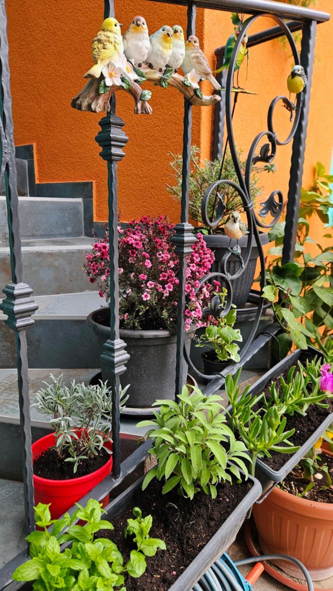 Apartment Mexicana Blue