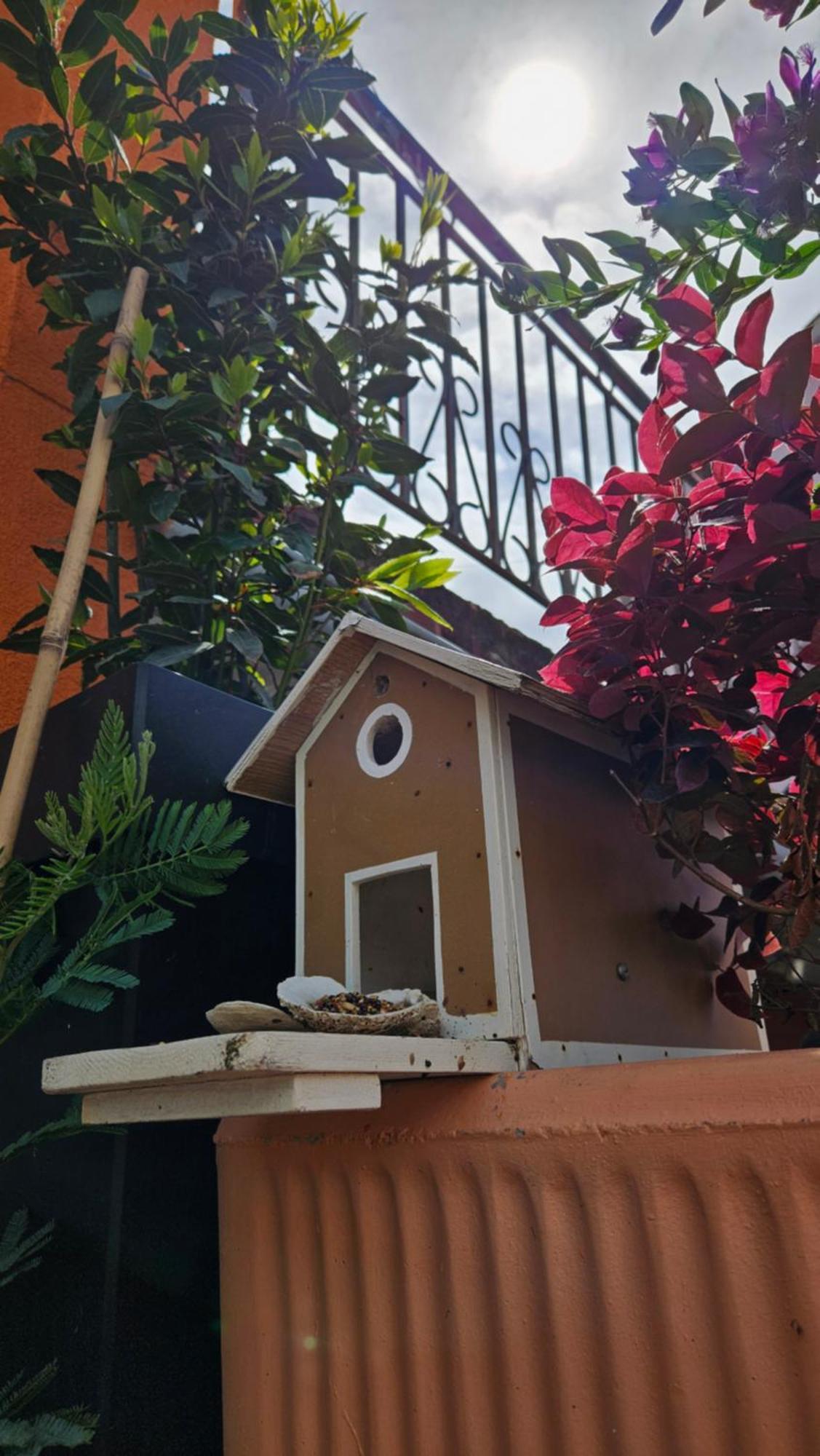 Mexicana Blue Apartment *