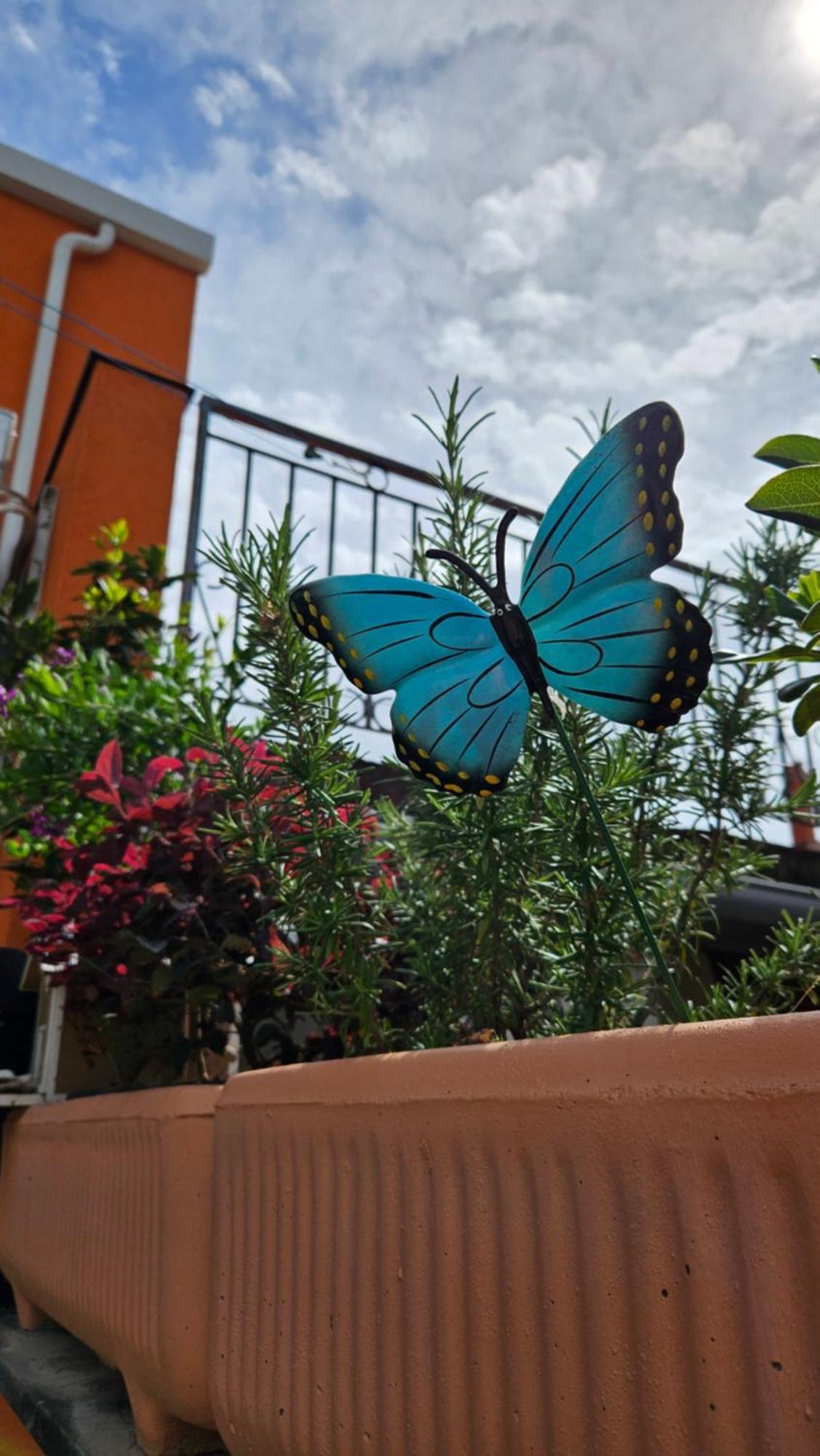 Apartment Mexicana Blue *