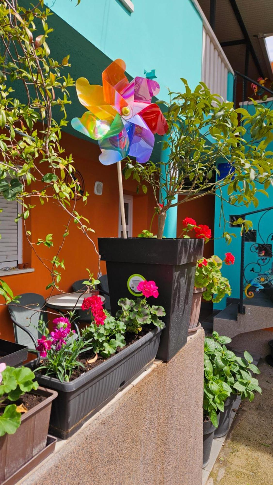 Mexicana Blue Apartment