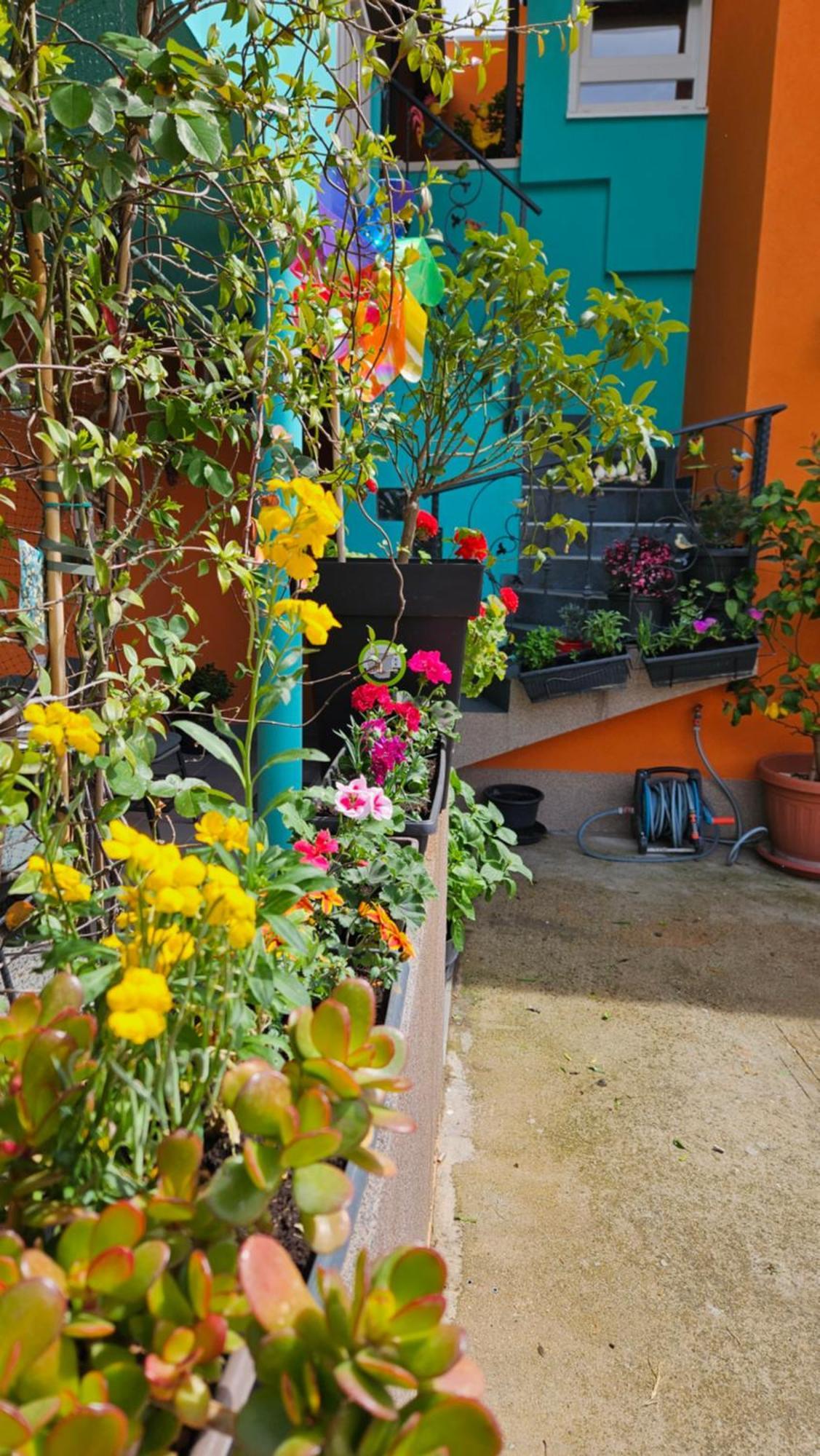 Appartement Mexicana Blue Zadar